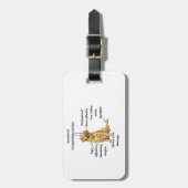Anatomie van een Golden Retriever - Grappige Hond  Bagagelabel (Voorkant verticaal)