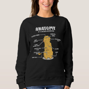 Anatomie van een Golden Retriever retrorode Trui