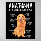 Anatomie van een Golden Retriever vader Poster (Voorkant)