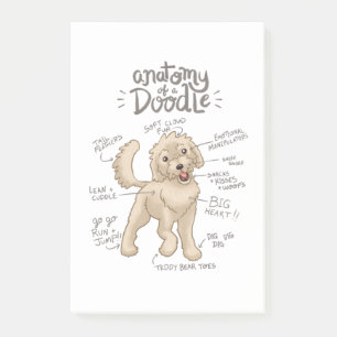 Anatomie van een Goldendoedel Post-it® Notes