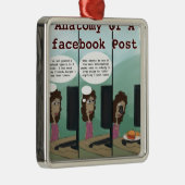 Anatomie van een grappige Facebookpost Metalen Ornament (Rechts)