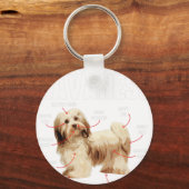 Anatomie van een Havanees - Cubaanse Havaneser Hav Sleutelhanger (Voorkant)