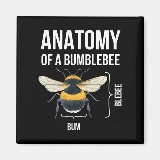 Anatomie van een hommel Grappig Sarcastisch Humor  Magneet (Voorkant)