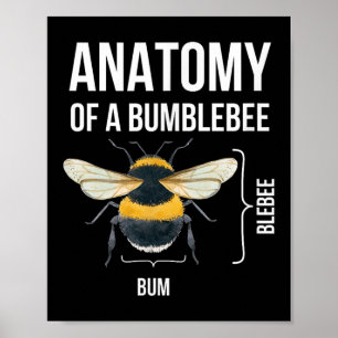 Anatomie van een hommel Grappig Sarcastisch Humor  Poster