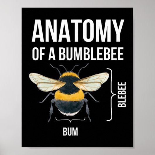 Anatomie van een hommel Grappig Sarcastisch Humor Poster (Voorkant)