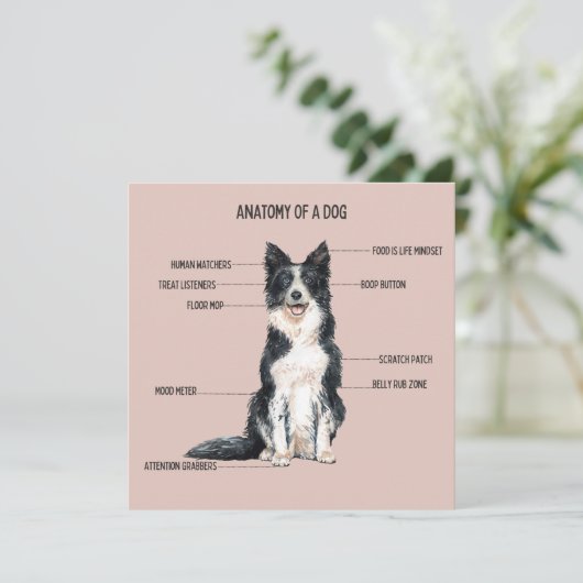 Anatomie van een hond kaart (Staand voorkant)