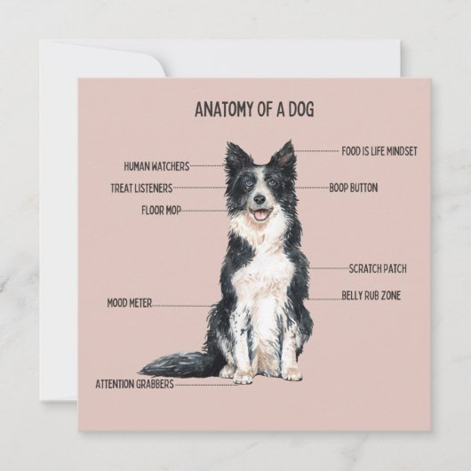 Anatomie van een hond kaart (Voorkant)