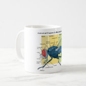 Anatomie van een Housefly Diagram Musca Domestica Koffiemok (Voorkant links)