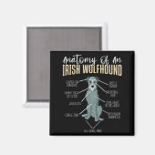 Anatomie van een Ierse Wolfshond Magneet (Voorkant / Achterkant)