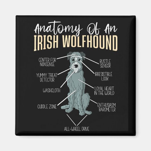 Anatomie van een Ierse Wolfshond Magneet (Voorkant)