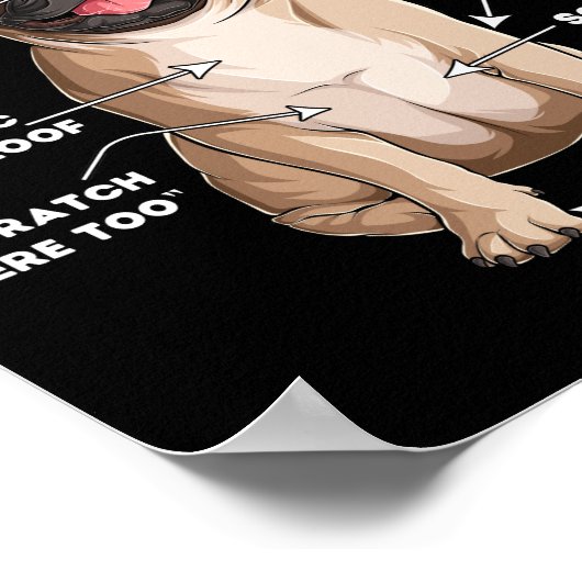 Anatomie van een insect poster (Hoek)