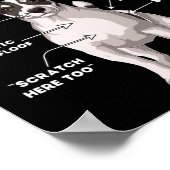 Anatomie van een Jack Russell Terrier Poster (Hoek)