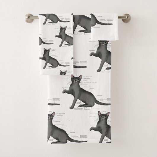 Anatomie van een kat bad handdoek (Insitu)