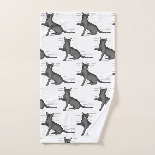 Anatomie van een kat bad handdoek (Handdoek)