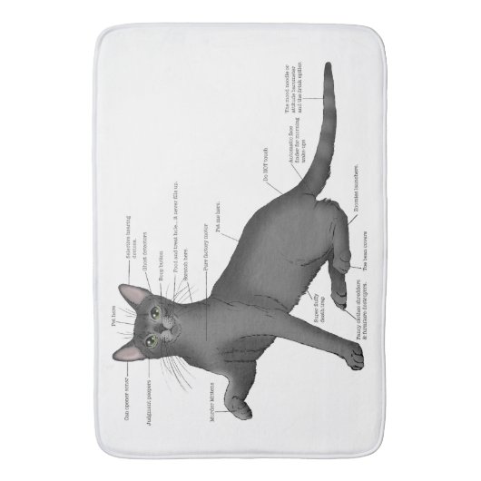Anatomie van een kat badmat (Voorkant Verticaal)