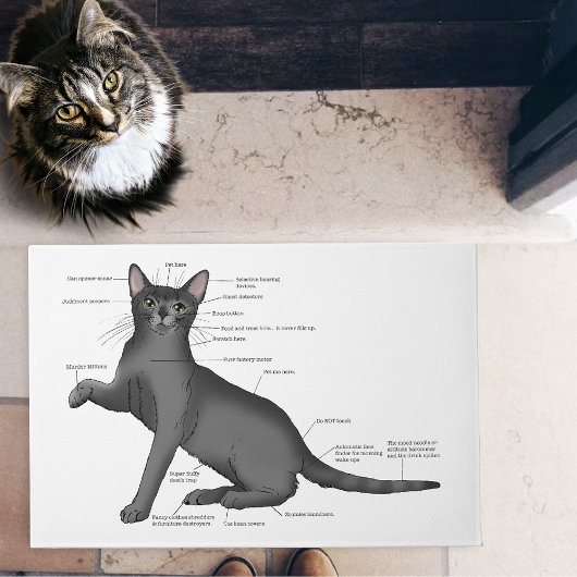 Anatomie van een kat deurmat