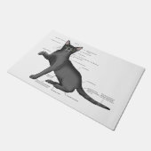 Anatomie van een kat deurmat (Schuin)