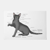 Anatomie van een kat deurmat (Voorkant)