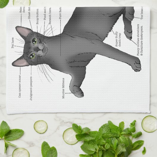 Anatomie van een kat theedoek (Gevouwen)