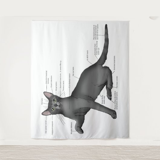 Anatomie van een kat wandkleed (Voorkant)