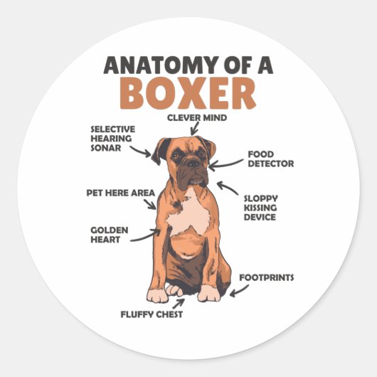 Anatomie van een knuppel met gebottende hond ronde sticker (Voorkant)