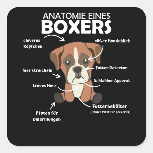 Anatomie van een knuppel met gebottende hond vierkante sticker (Voorkant)