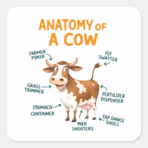 Anatomie van een koe | Grappige Doktersdag
