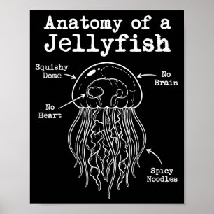 Anatomie van een kwal pittige noedels grappige zee poster