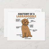 Anatomie van een labradoedle Cute Canine Puppy Briefkaart (Voorkant / Achterkant)