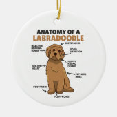 Anatomie van een labradoedle Cute Canine Puppy Keramisch Ornament (Voorkant)
