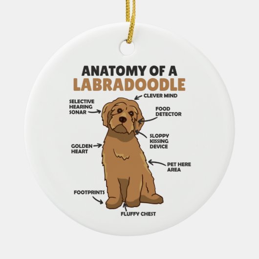 Anatomie van een labradoedle Cute Canine Puppy Keramisch Ornament (Voorkant)