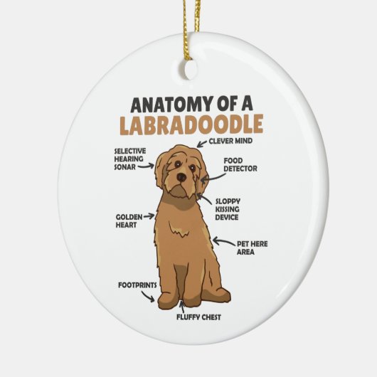 Anatomie van een labradoedle Cute Canine Puppy Keramisch Ornament (Links)