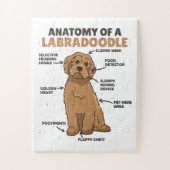 Anatomie van een labradoedle Cute Canine Puppy Legpuzzel (Verticaal)