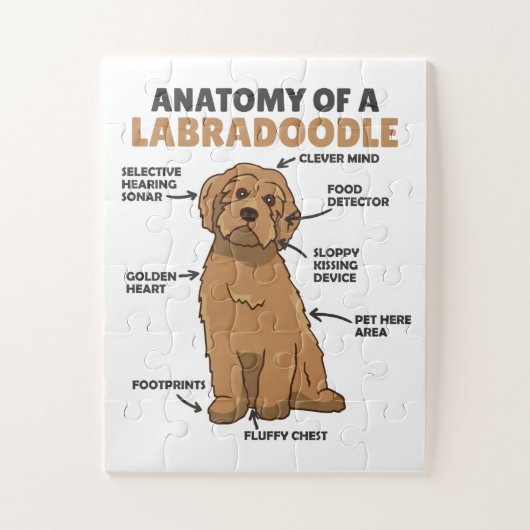Anatomie van een labradoedle Cute Canine Puppy Legpuzzel (Verticaal)