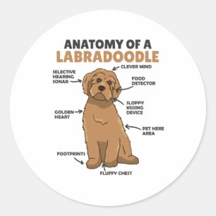 Anatomie van een labradoedle Cute Canine Puppy Ronde Sticker