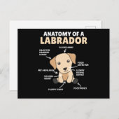 Anatomie van een labrador Retriever zoete honden Briefkaart (Voorkant / Achterkant)