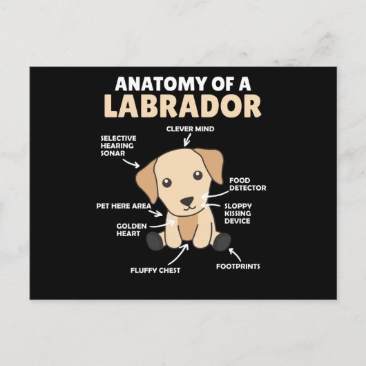 Anatomie van een labrador Retriever zoete honden Briefkaart (Voorkant)