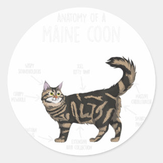 Anatomie van een Maine Coon Cat Ronde Sticker