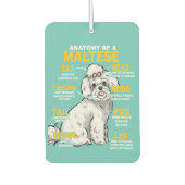 anatomie van een maltees hondenliefhebber luchtverfrisser (Voorkant)