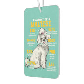 anatomie van een maltees hondenliefhebber luchtverfrisser (Links)