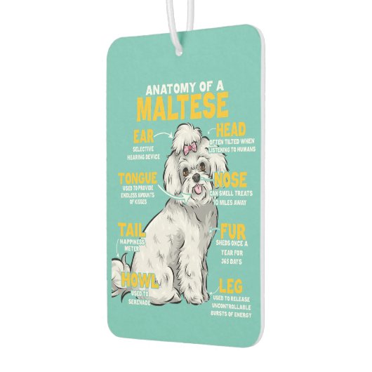 anatomie van een maltees hondenliefhebber luchtverfrisser (Links)