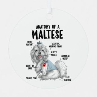 Anatomie van een Maltese eigenaar van de hondenhon Metalen Ornament
