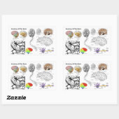 Anatomie van een menselijk brein populaire menseli rechthoekige sticker (Vel)