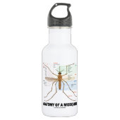Anatomie van een mug (Entomologie) Waterfles (Voorkant)