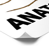 Anatomie van een muggen (Entomologie) Poster (Hoek)