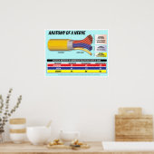 Anatomie van een Nerve 2016 Edition Poster (Keuken)