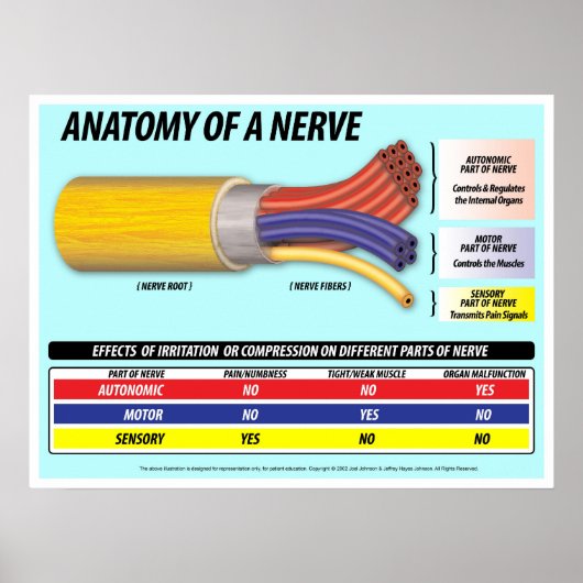 Anatomie van een Nerve 2016 Edition Poster (Voorkant)