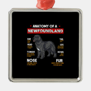 Anatomie van een Newfoundland Dogs Lovers Metalen Ornament