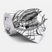 Anatomie van een Octopus Stropdas (Opgerold)