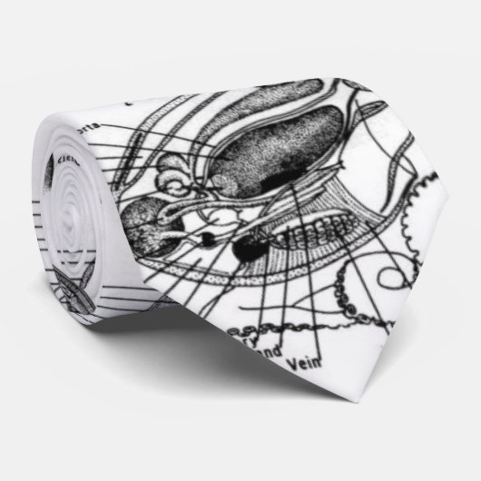 Anatomie van een Octopus Stropdas (Opgerold)